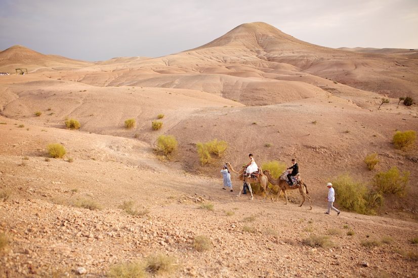 wedding in Marrakech La Pause camel ride ©lasdecoeur